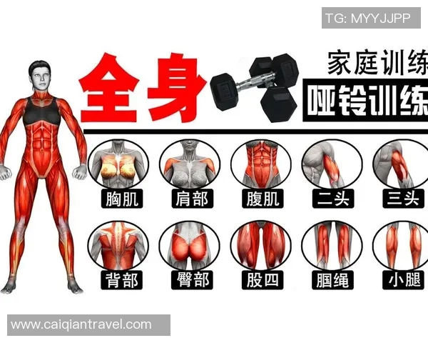 跑步结合哑铃训练能有效瘦胳膊的科学原理与方法解析 跑步结合哑铃训练能有效瘦胳膊的科学原理与方法解析