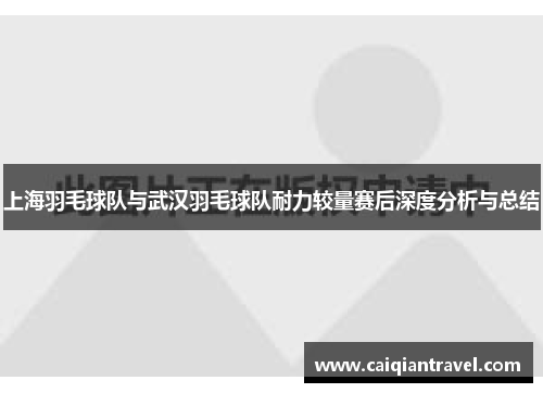 上海羽毛球队与武汉羽毛球队耐力较量赛后深度分析与总结