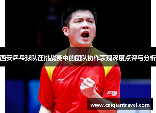 西安乒乓球队在挑战赛中的团队协作表现深度点评与分析