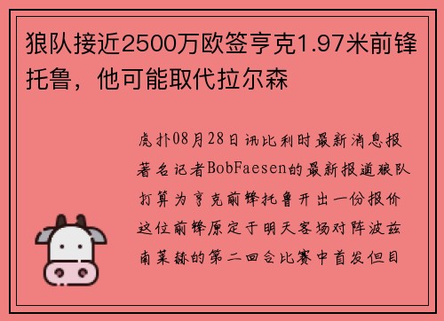 狼队接近2500万欧签亨克1.97米前锋托鲁，他可能取代拉尔森